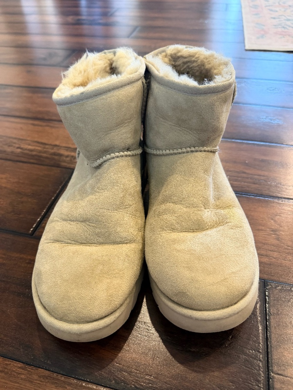 Ugg Sand Mini Size 9